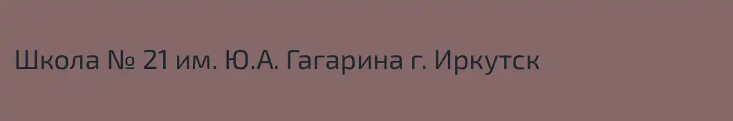 Школа № 21 им. Ю.А. Гагарина г. Иркутск